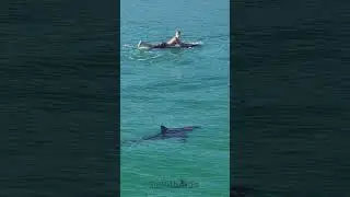 Surfer & Great White Shark interested in each other. See the whole video in my latest video.