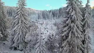 красивая зима