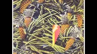 All Ship Shape - Dri#ter (Drifter) (FULL ALBUM)
