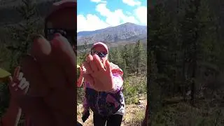 Вершины Боруса 