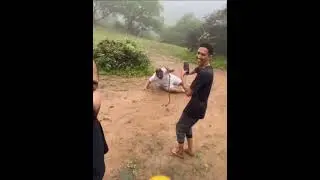 Try not to laugh (you laugh you lose) funny videos compilation