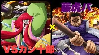 《トレクル》コロシアム！VSカン十郎 藤虎パ攻略！
