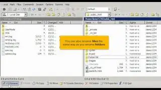 FTP - Managing files in WinSCP