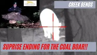 Feral pig motion light FAIL and ATN Thor comes through!