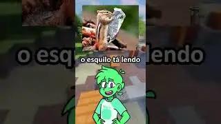 Imagens tiradas na hora certa
