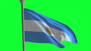Argentina national Flag Animation Green Screen, No Copyright Stock footage 2k_Shutterstock BD