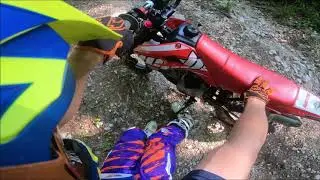 welsh pit bike - wpb 170 detroit - enduro