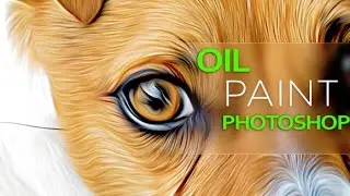 [Updated] How to Download and Setup Oil Paint Plugin in Photoshop CC | PH Rabbu | Photoshop CC