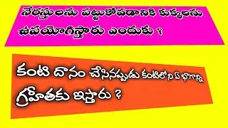 general science gk general scienc for competitive exams in telugu Radhika Apte Zack Snyder Gautam Ad