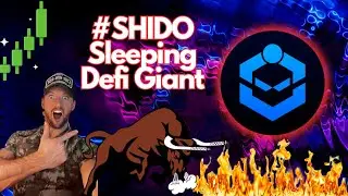 SHIDO DEFI one to watch | Altcoin Gem