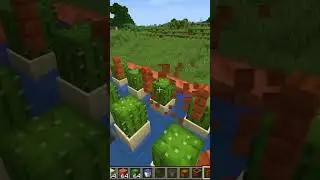 #shorts #minecraft #minecraftshorts
