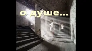 О Душе