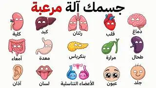 Explaining all human body organs in 8 minutes
