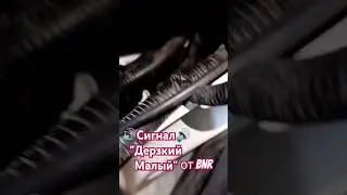 Сигнал Дерзкий Малый для KIA Morning 🎀CityCarT🎀