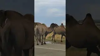 Иначе нельзя