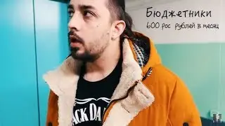 КОТЫ , СОВЫ и ДЕТИ  в общаге ШТИГЛИЦА?! (Питер)