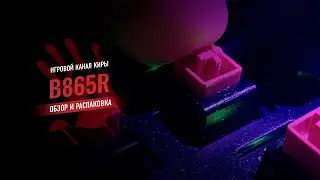 BLOODY B865R — БЕСШУМНАЯ МЕХАНИЧЕСКАЯ КЛАВИАТУРА НА КРАСНЫХ ОПТИЧЕСКИХ ПЕРЕКЛЮЧАТЕЛЯХ