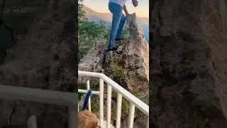 Scenic jump. 