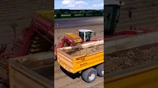 Loading Onions #fendt #grimme #harvest #onions #shorts #agriculture #tractor #landtechnik #uien #dji