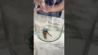 How to Stay Dry!