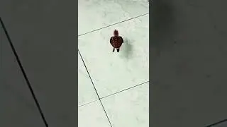 Baby Sea Turtle
