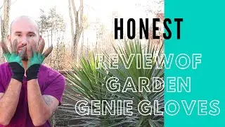 REVIEWING the GARDEN GENIE GLOVES  / Colorful Gardener