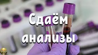 Медицина в Израиле. Сдаём анализы