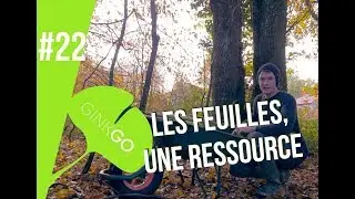 Potager bio : une MAGNIFIQUE ressource !!!