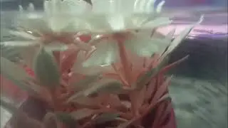 زوجي عكس توقعي