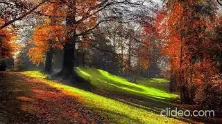 Красивое видео с расслабляющей музыкой\Beautiful video with relaxing music