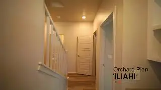 Iliahi at Hoopili - Orchard Plan POV