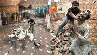 Mini Zoo Toot Gea 😢 Subhan Ki Waja Sy Noksan Ho Gea 😡