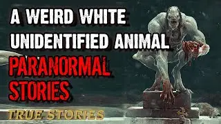 6 Unexplainable Paranormal Stories - A Weird White Unidentified Animal | Paranormal M