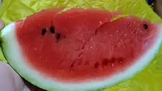 Новая палатка и статуэтки из оникса