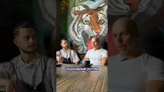 Как легко засыпать и быстро высыпаться. 