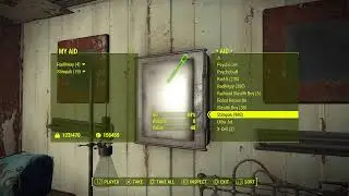 Fallout 4 All Caps