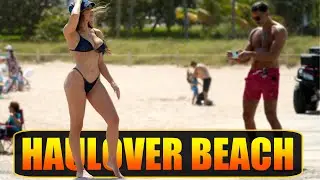 SPEED AND BEAUTIES | BEAUTIFUL DAY AT HAULOVER | BOAT ZONE