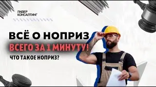 Всё о НОПРИЗ всего за 1 минуту! | Что такое НОПРИЗ простыми словами? | 