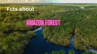 INTERESTING FACTS ABOUT AMAZON FOREST (the wonder of earth )