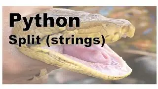 646-Python - String Split Method