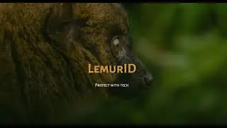 Lemur ID