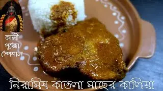 Niramish Katla Machher Kalia |Fish Curry Without Onion and Garlic|Kalipuja Special |ভোগের মাছ রান্না