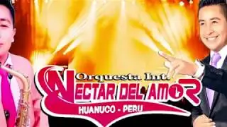 ORQUESTA INTERNACIONAL NÉCTAR DEL AMOR - Mix temas del recuerdo