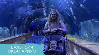 Валенсия. Океанариум