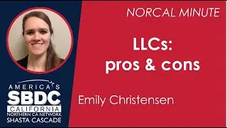 LLCs: pros and cons