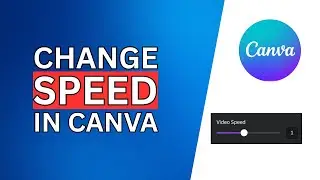 How to Change Video Speed in Canva
