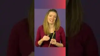 For Absolute Beginners - Your FIRST 🥇Tin Whistle Course - EASY!