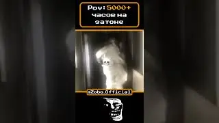 SC memes pt - 40  #сталкрафт #stalcraft #мемы #exbo #сталкермод #russia #сталкер #эксбо #reels #мем