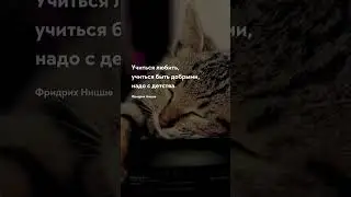 Учиться любить Про жизнь цитаты 