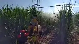 Tratosito ou thobata para aplicação
